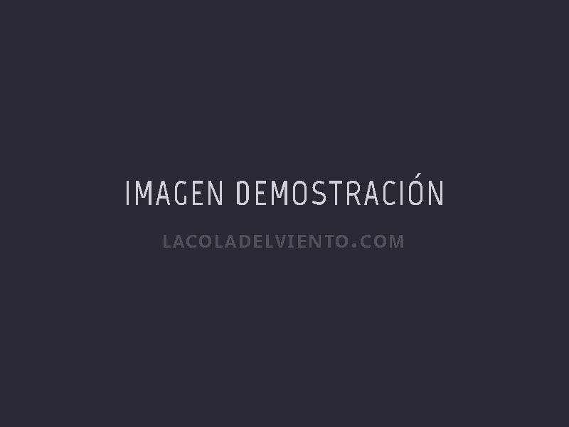 Imagen demostración - La cola del viento