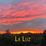 La Luz - Lanzamientos - La cola del viento